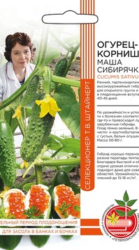 Огурец МАША СИБИРЯЧКА F1