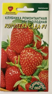 Клубника ремонтантная крупноплодная Королева Сада F1
