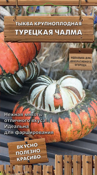 Тыква крупноплодная Турецкая чалма