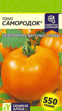 Томат САМОРОДОК