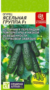 Огурец Ясельная Группа F1