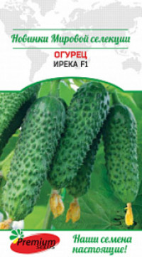 Огурец Ирека F1