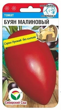Томат Буян малиновый