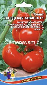 Томат Соседская зависть F1