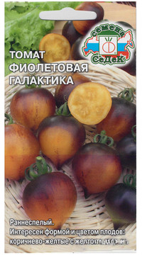 Томат Фиолетовая Галактика