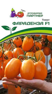 ТОМАТ ФАРАДЕНЗА F1