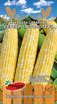Кукуруза сахарная  Серебро в золоте F1