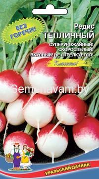 Редис Тепличный