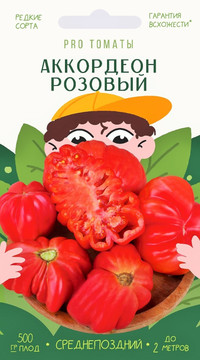 Томат Аккордеон розовый