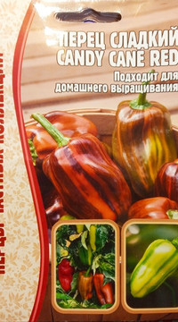 Перец сладкий Candy cane red
