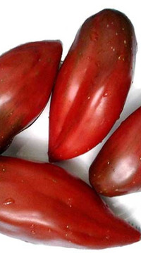 Томат Кубинский черный