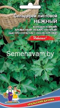 Сельдерей листовой Нежный