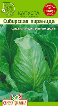 Капуста Сибирская Пирамида