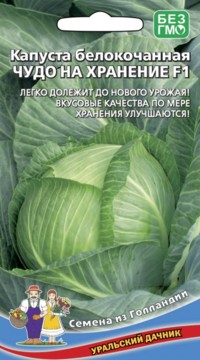 Капуста белокочанная ЧУДО НА ХРАНЕНИЕ F1