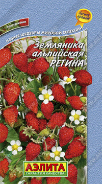 Земляника альпийская Регина
