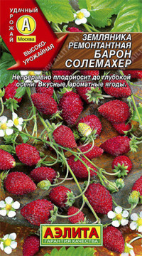 Земляника Барон Солемахер