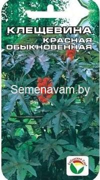 Клещевина Красная обыкновенная