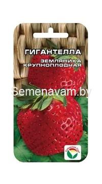 Клубника Гигантелла