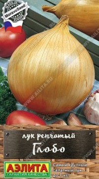 Лук репчатый Глобо