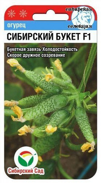 Огурец Сибирский букет F1