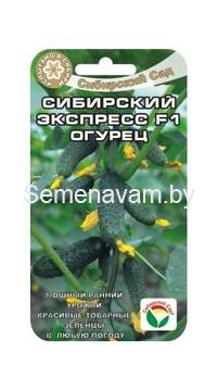 Огурец Сибирский экспресс F1