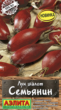 Лук шалот Семьянин