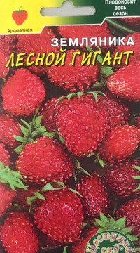 Земляника Лесной гигант