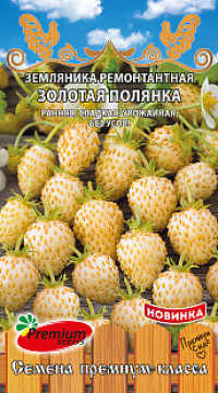 Земляника ремонтантная Золотая полянка