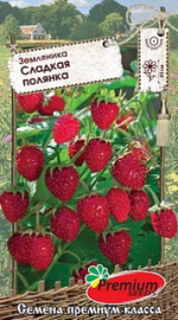 Земляника Сладкая полянка