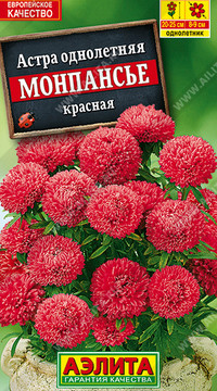 Астра Монпансье красная