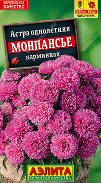 Астра Монпансье карминная