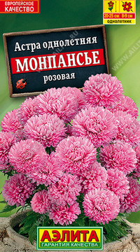 Астра Монпансье розовая