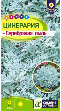 Цинерария приморская Серебряная пыль