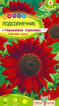 Подсолнечник Малиновая Королева
