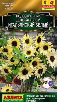 Подсолнечник декоративный Итальянский белый