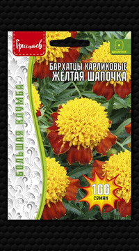 Бархатцы Жёлтая Шапочка карликовые махровые