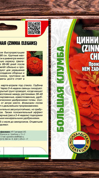 Цинния Cherry Queen изящная