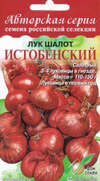 Лук шалот Истобенский