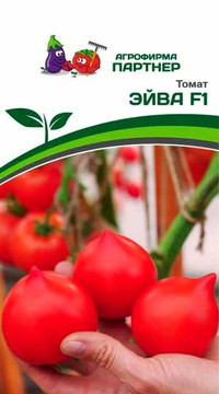ТОМАТ ЭЙВА