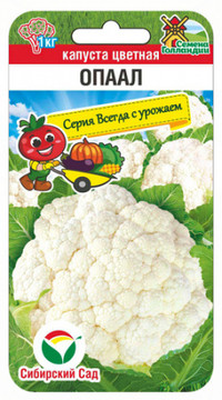 Капуста цветная Опаал