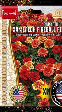 Бархатцы отклонённые Хамелеон Fireball F1