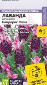 ЛАВАНДА БАНДЕРОС ПИНК