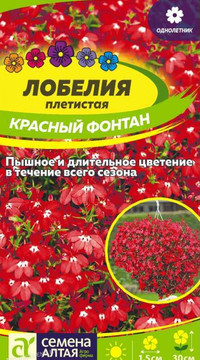 Лобелия Красный Фонтан плетистая