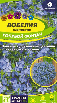 Лобелия Голубой Фонтан плетистая