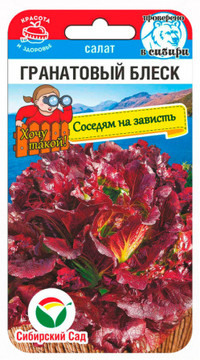 Салат Гранатовый блеск