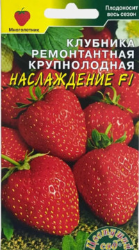 Клубника ремонтантная крупноплодная Наслаждение F1