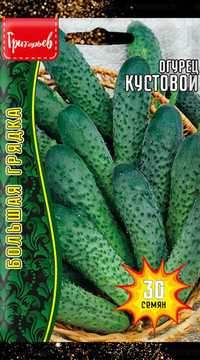 Огурец Кустовой