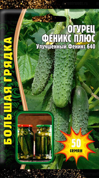 Огурец Феникс Плюс