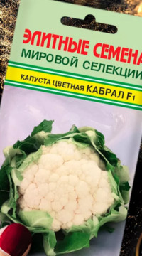 Капуста Кабрал F1 цветная