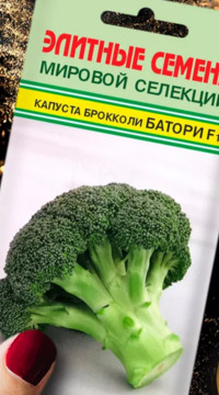Капуста брокколи Батори F1
